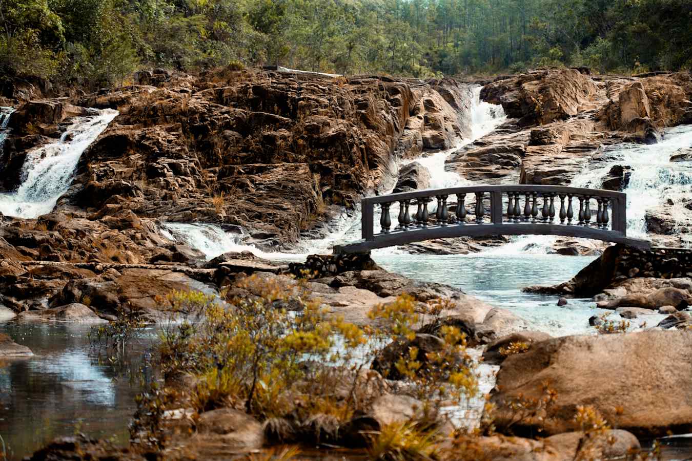 Gardens - Gaia River Lodge