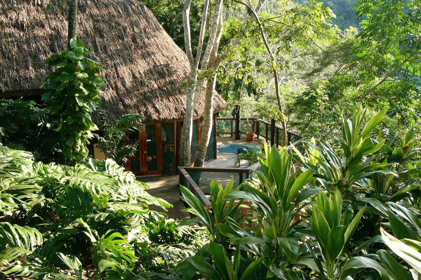 Treetop Cottage exterior - The Lodge at Chaa Creek