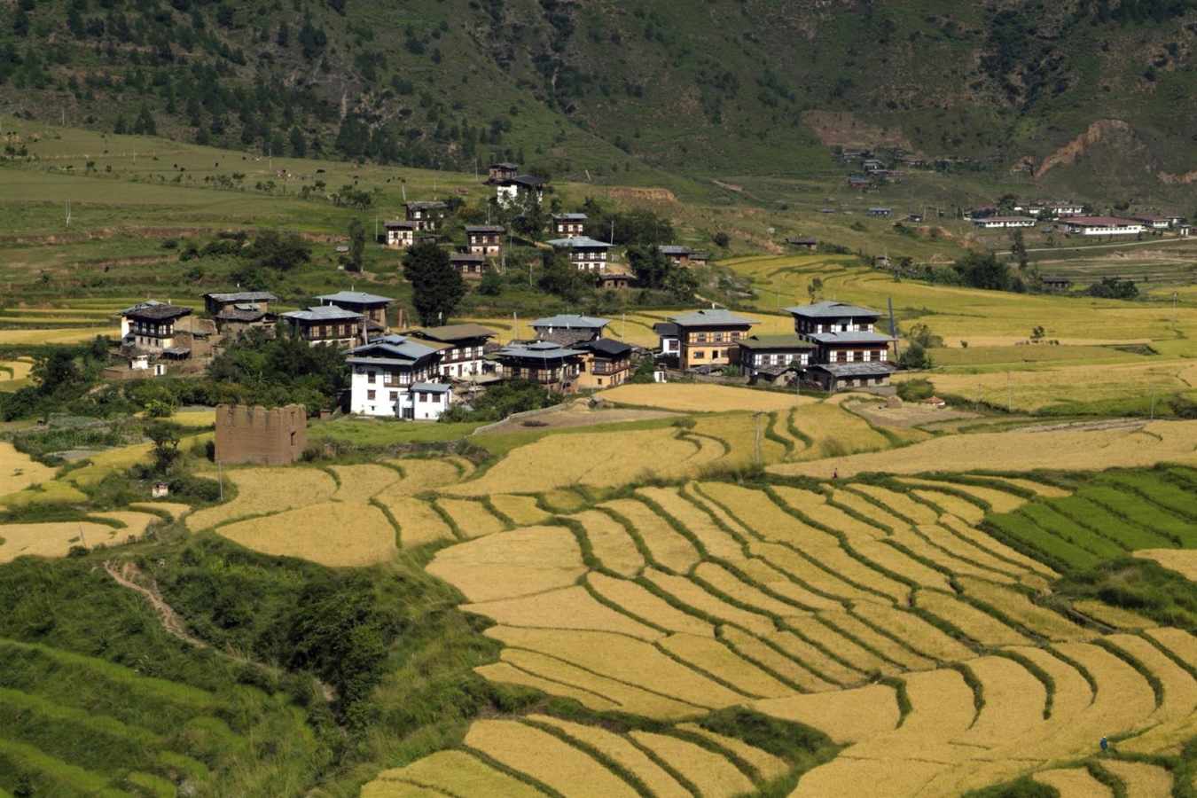 Punakha 