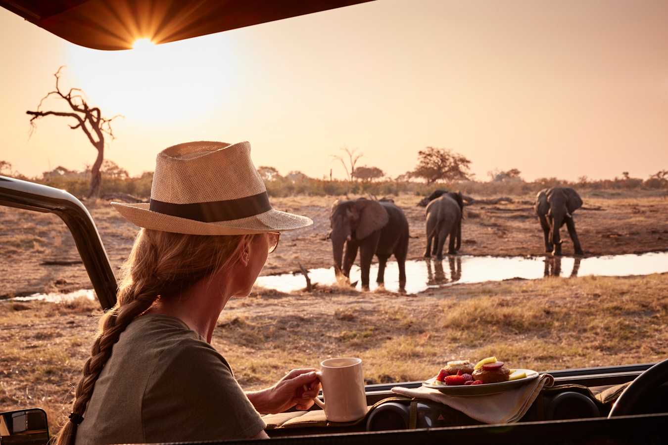 Game drive 