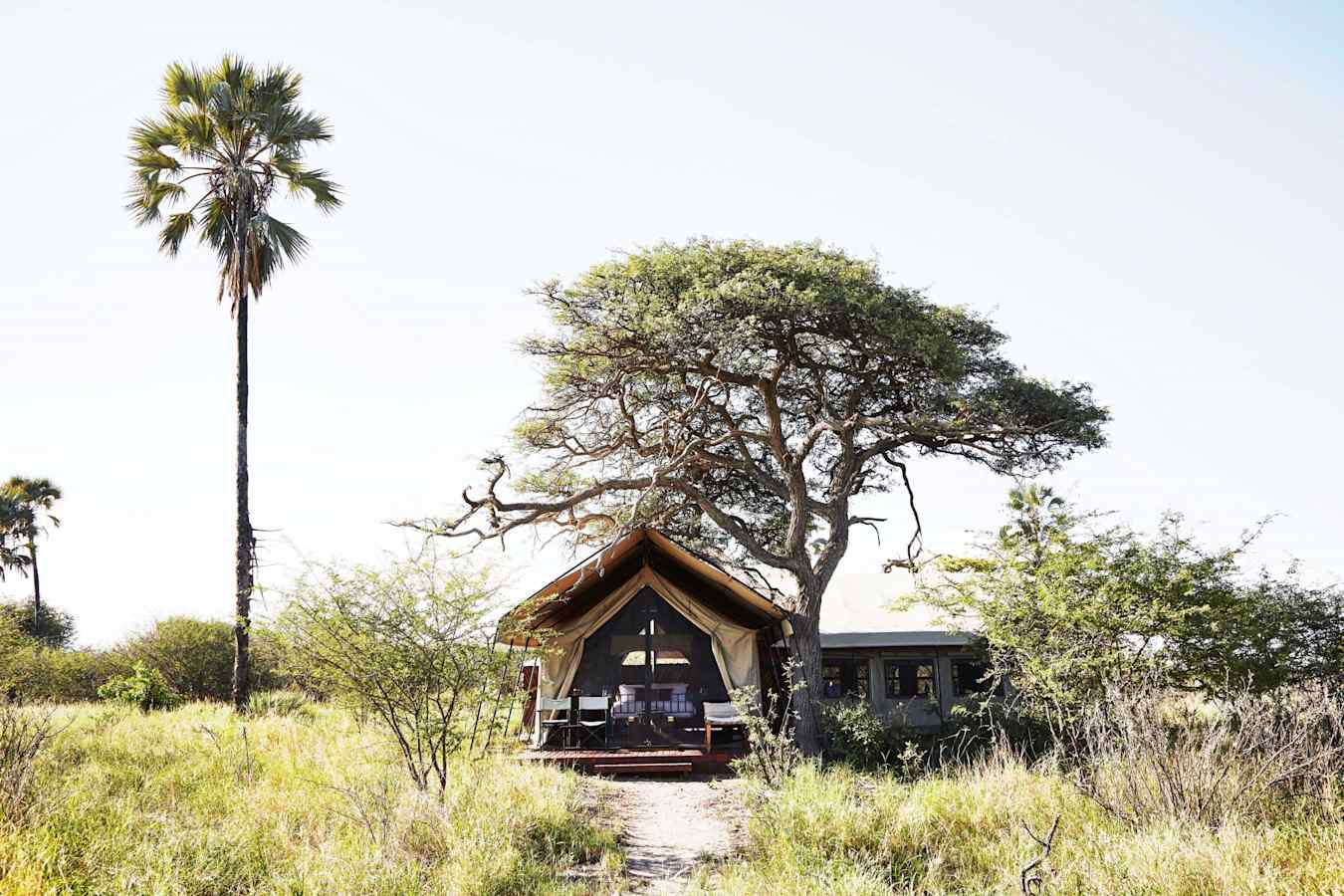 Family Tent - Camp Kalahari