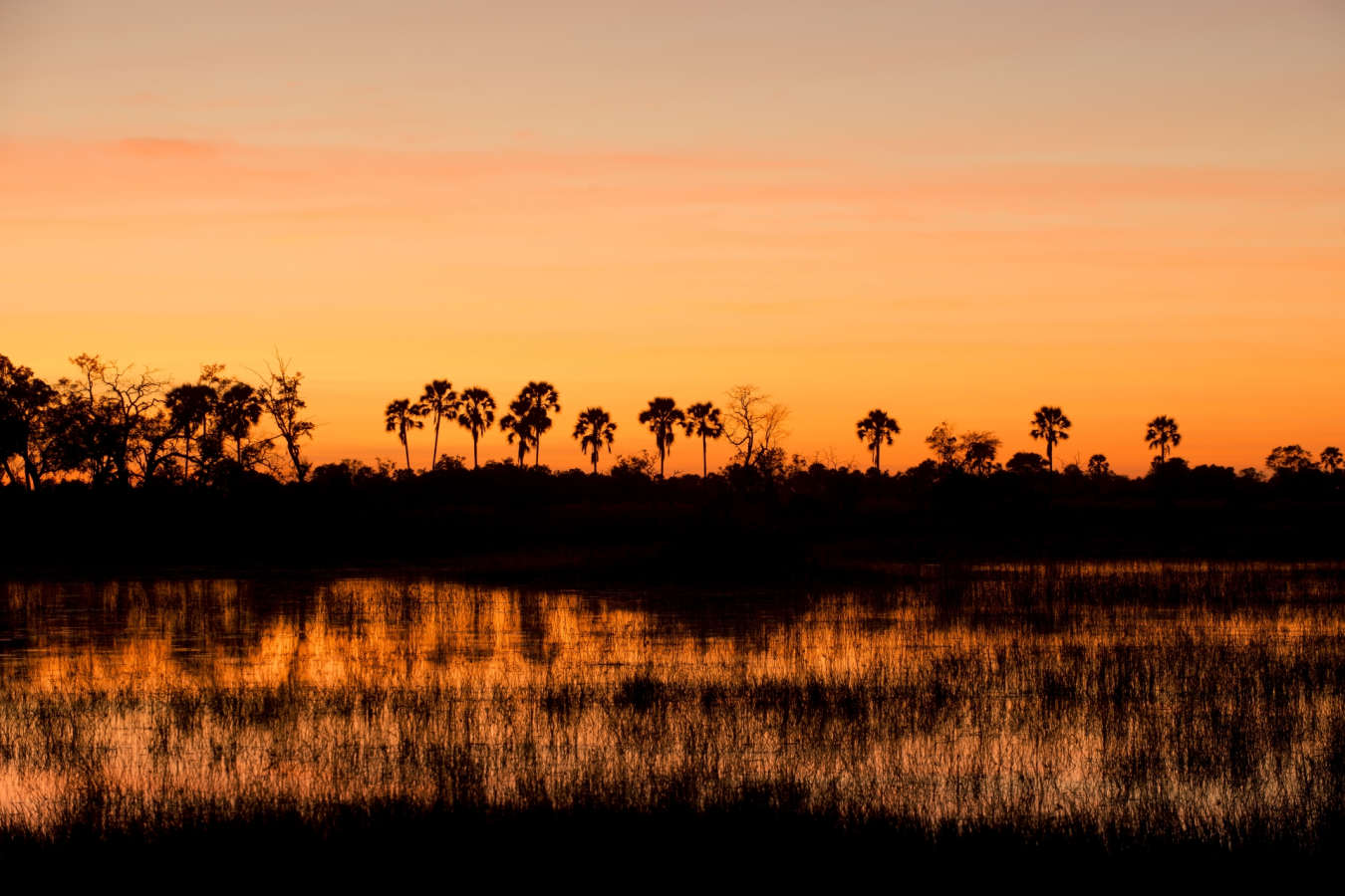 Sunset in the Delta