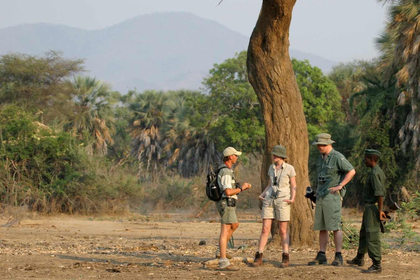Walking safari