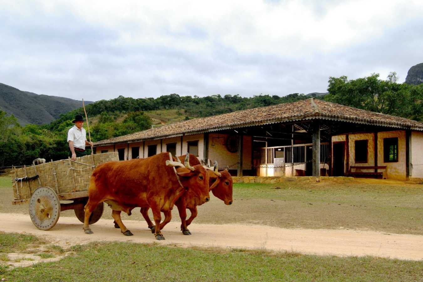 Life on the farm 