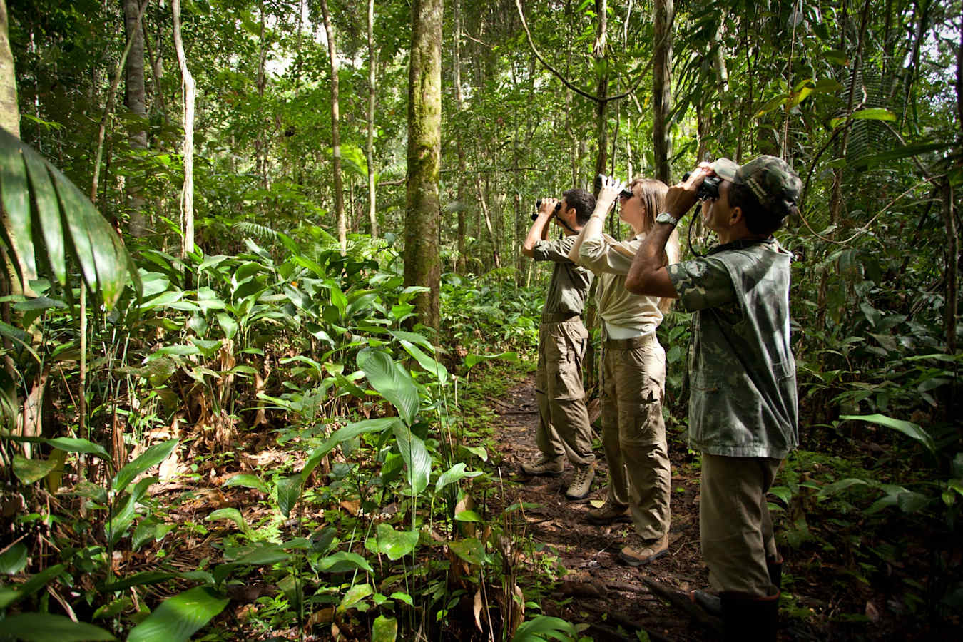 Wildlife watching - Cristalino Jungle Lodge