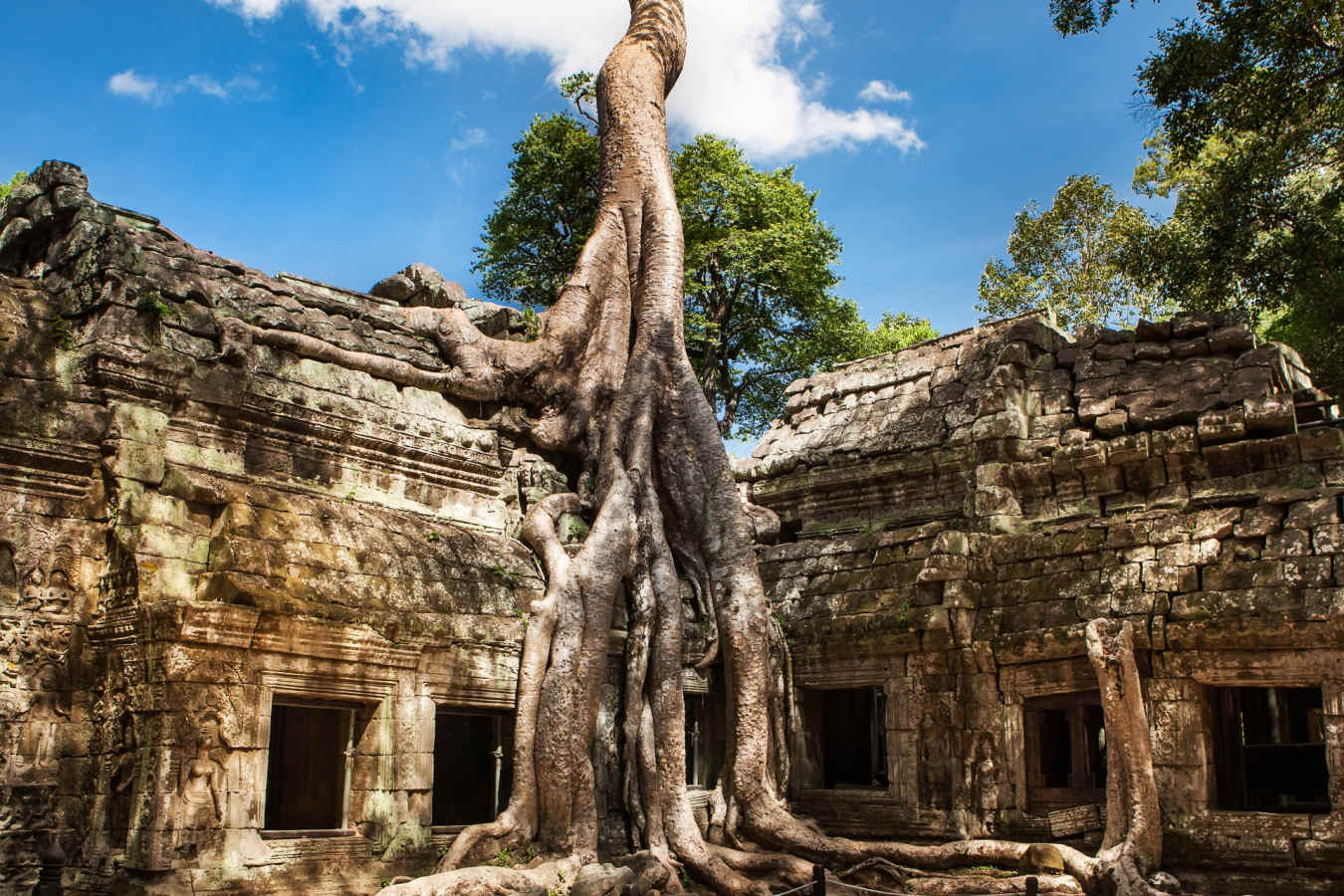 Ta Phrom - Luxury Cambodia
