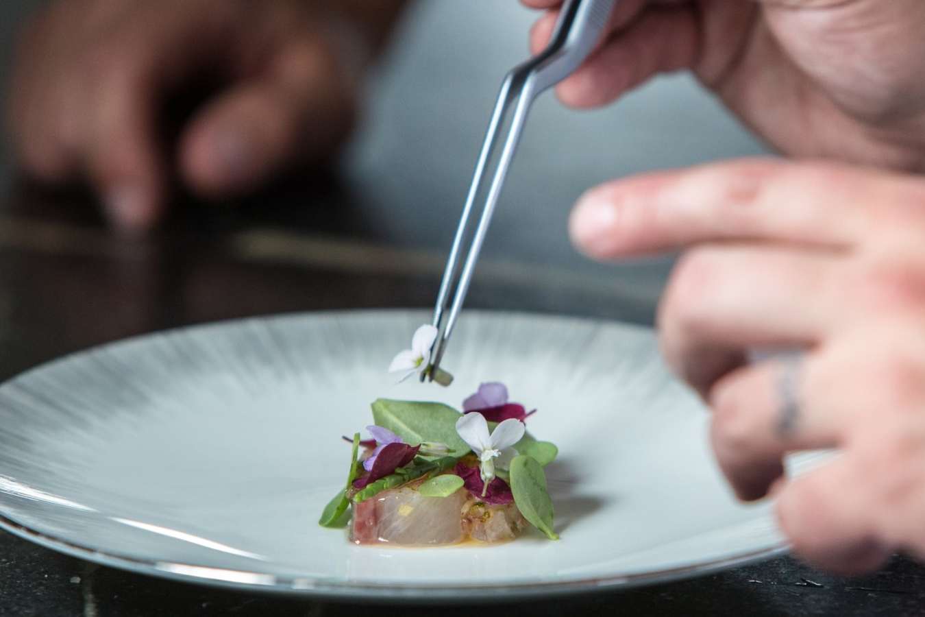 Fine Dining - Gourmet Ontario and Quebec 
