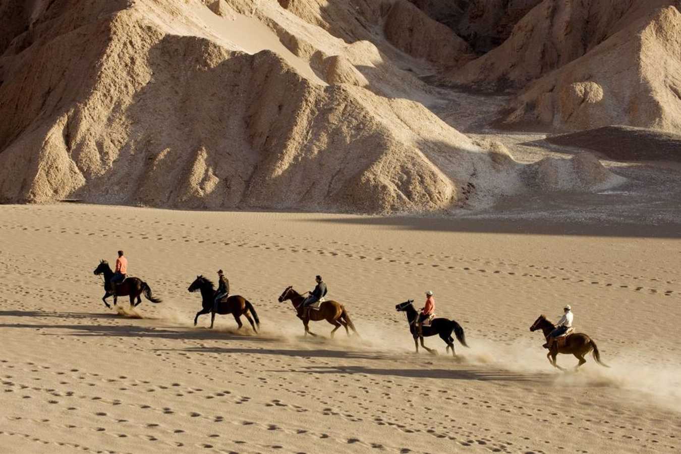 Horse riding  - Explora Atacama Hotel de Larache