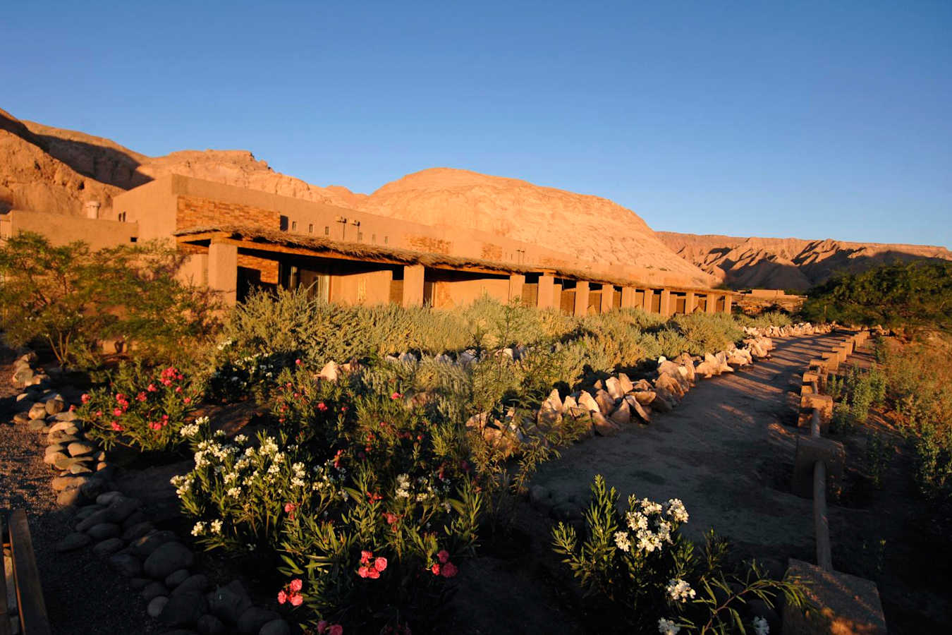 Gardens - Alto Atacama Desert Lodge & Spa