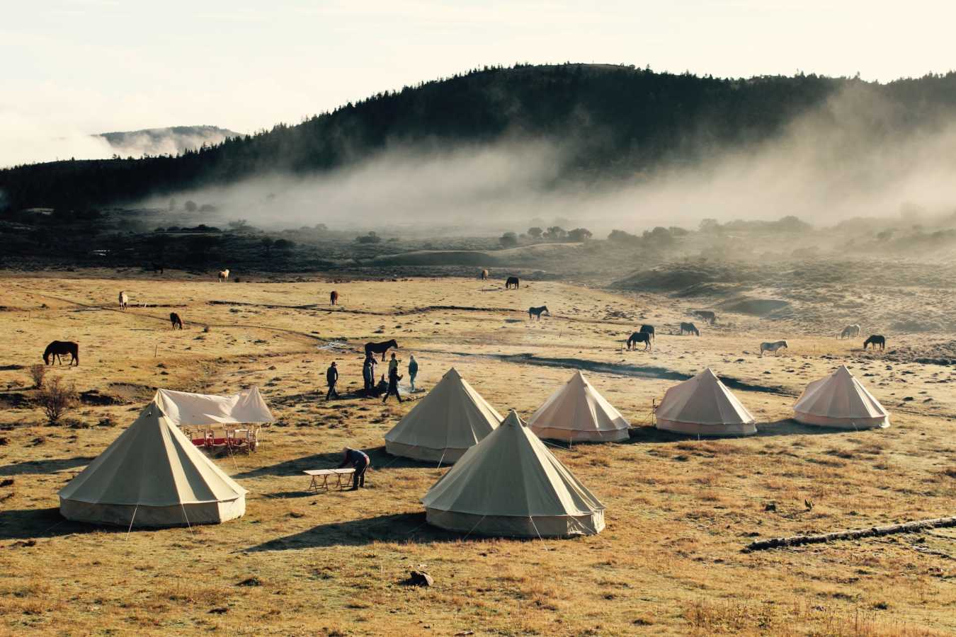 Bell Tent 