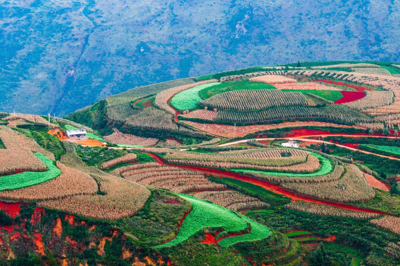 Dongchuan 