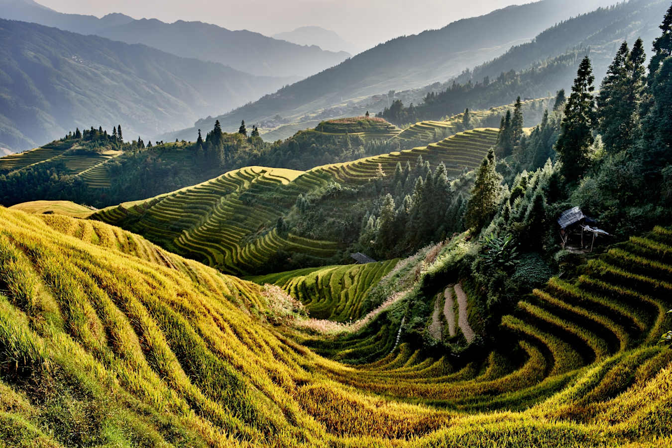 Longsheng 