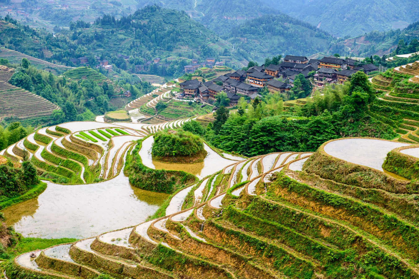 Longsheng Rice Fields 