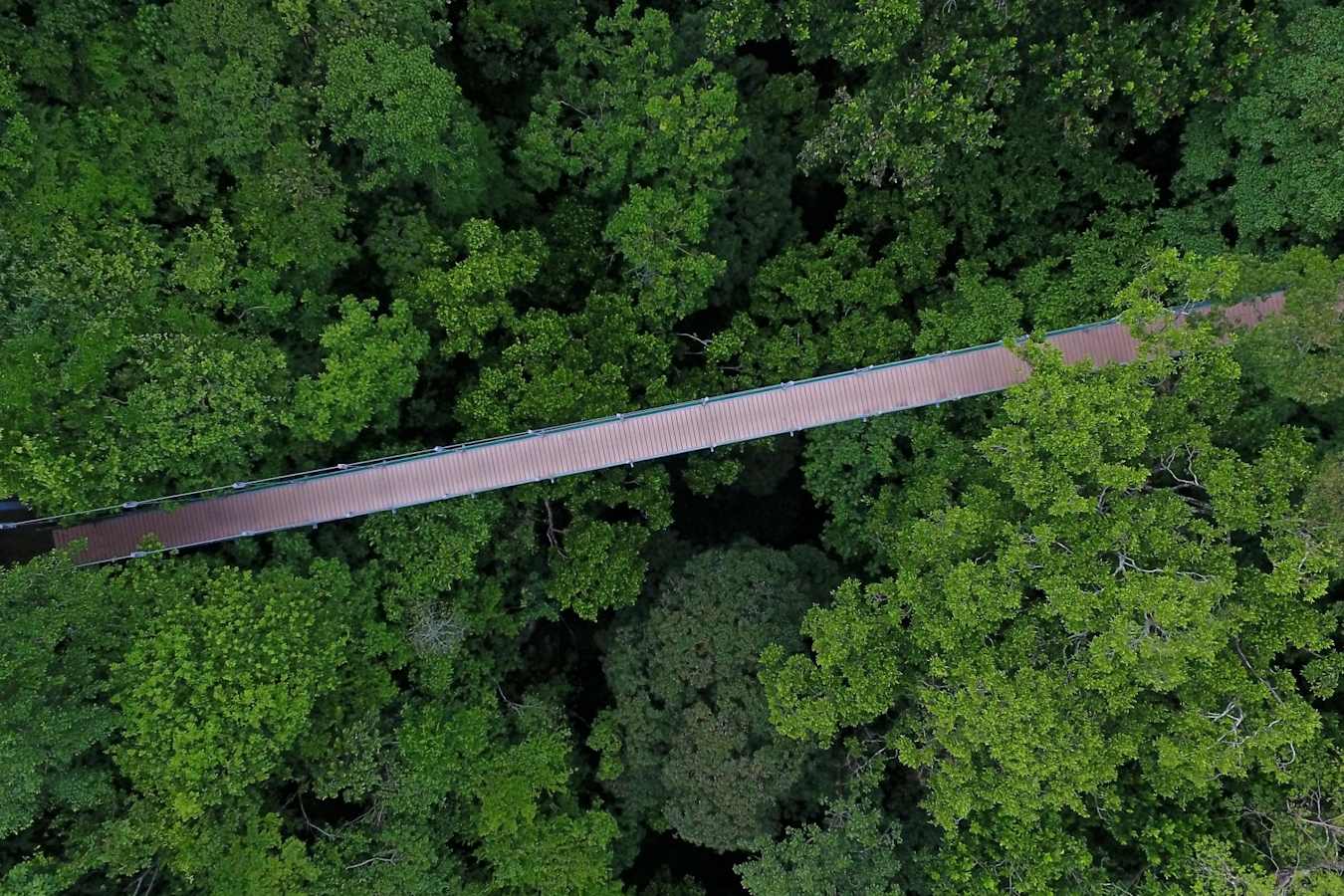 Rio Perdido Hotel - Aerial View of Bridge 