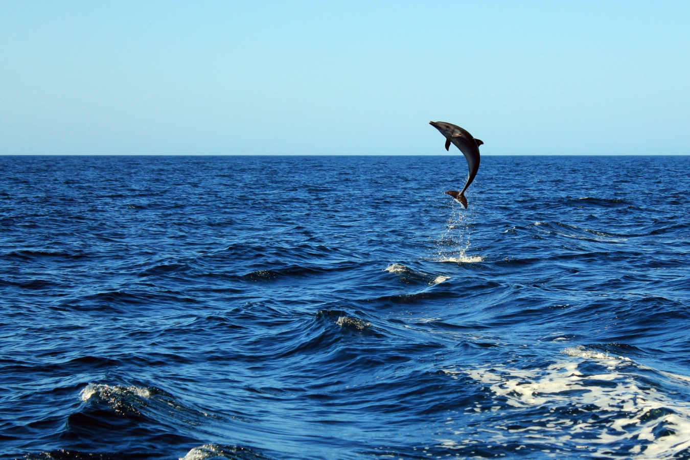 Extraordinary Costa Rica 