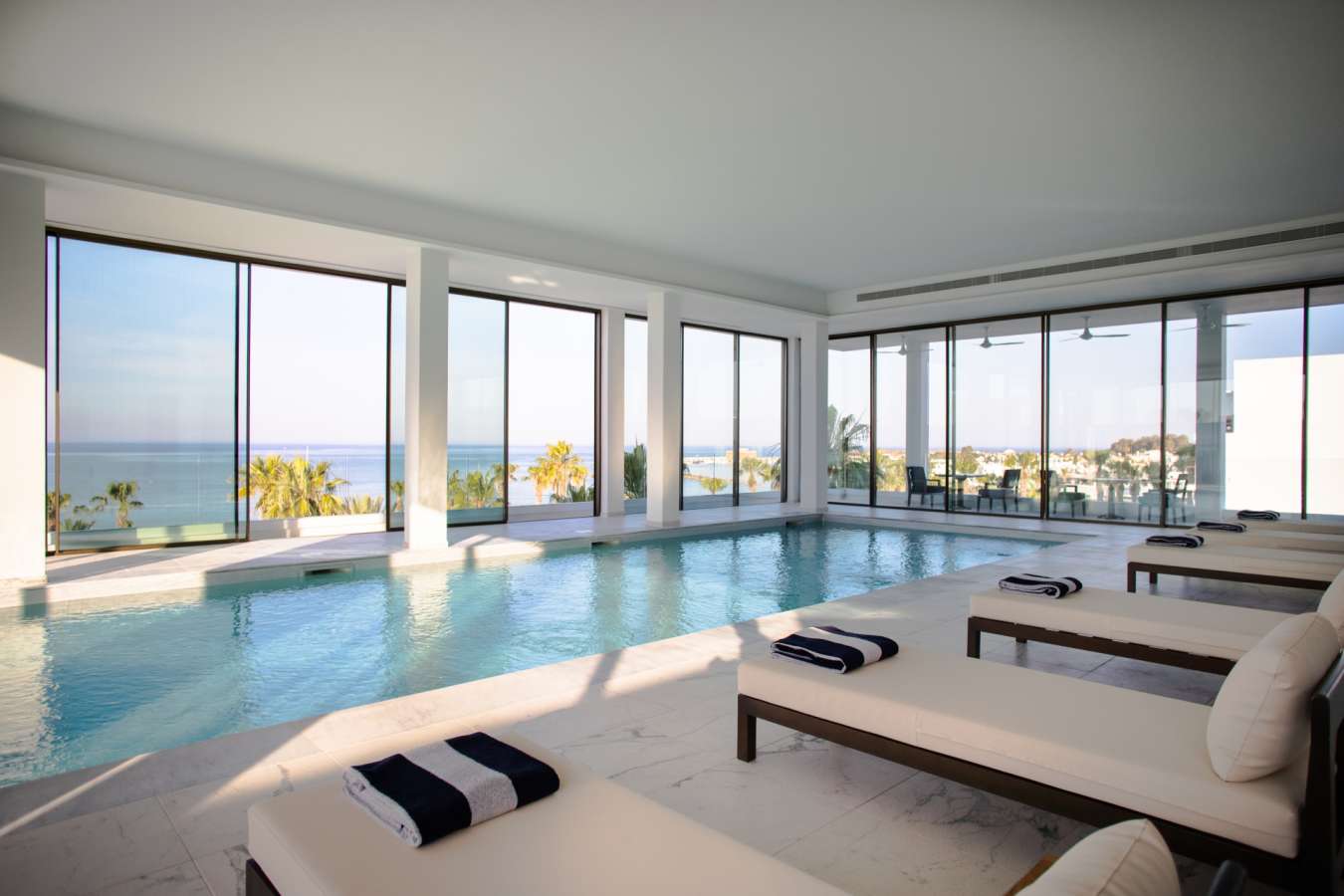 Rooftop Pool 