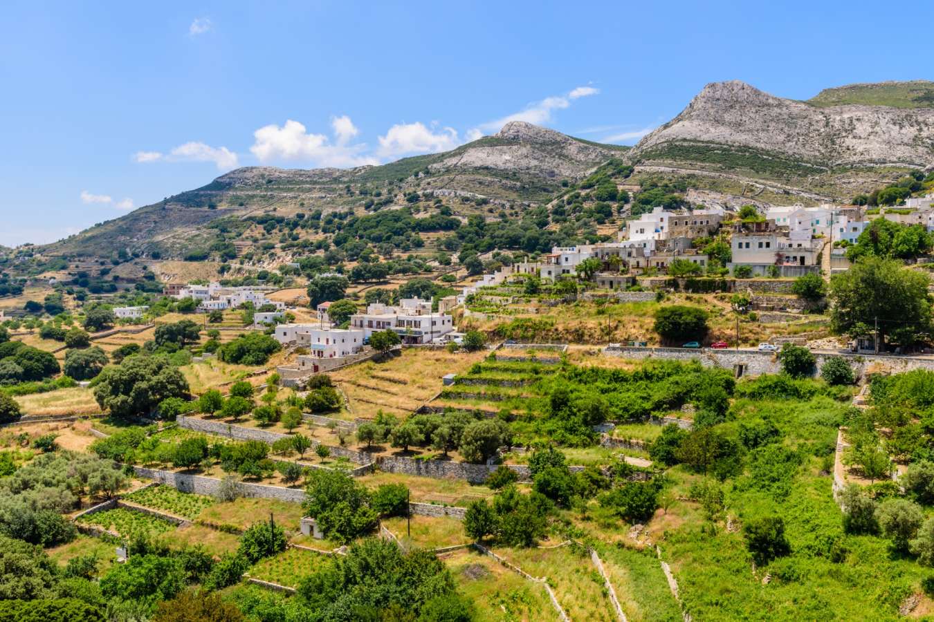 Apiranthos 
