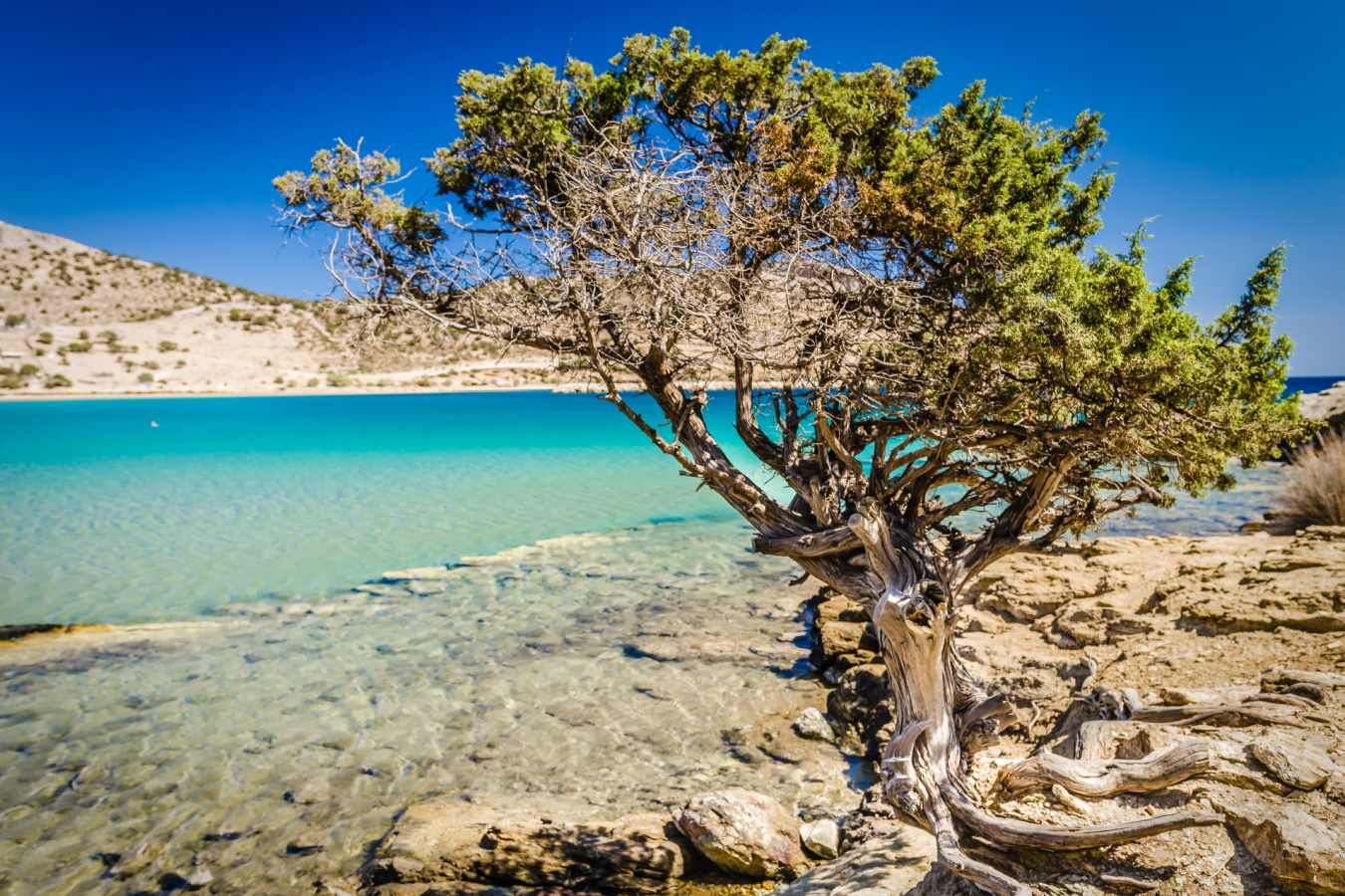 Naxos 