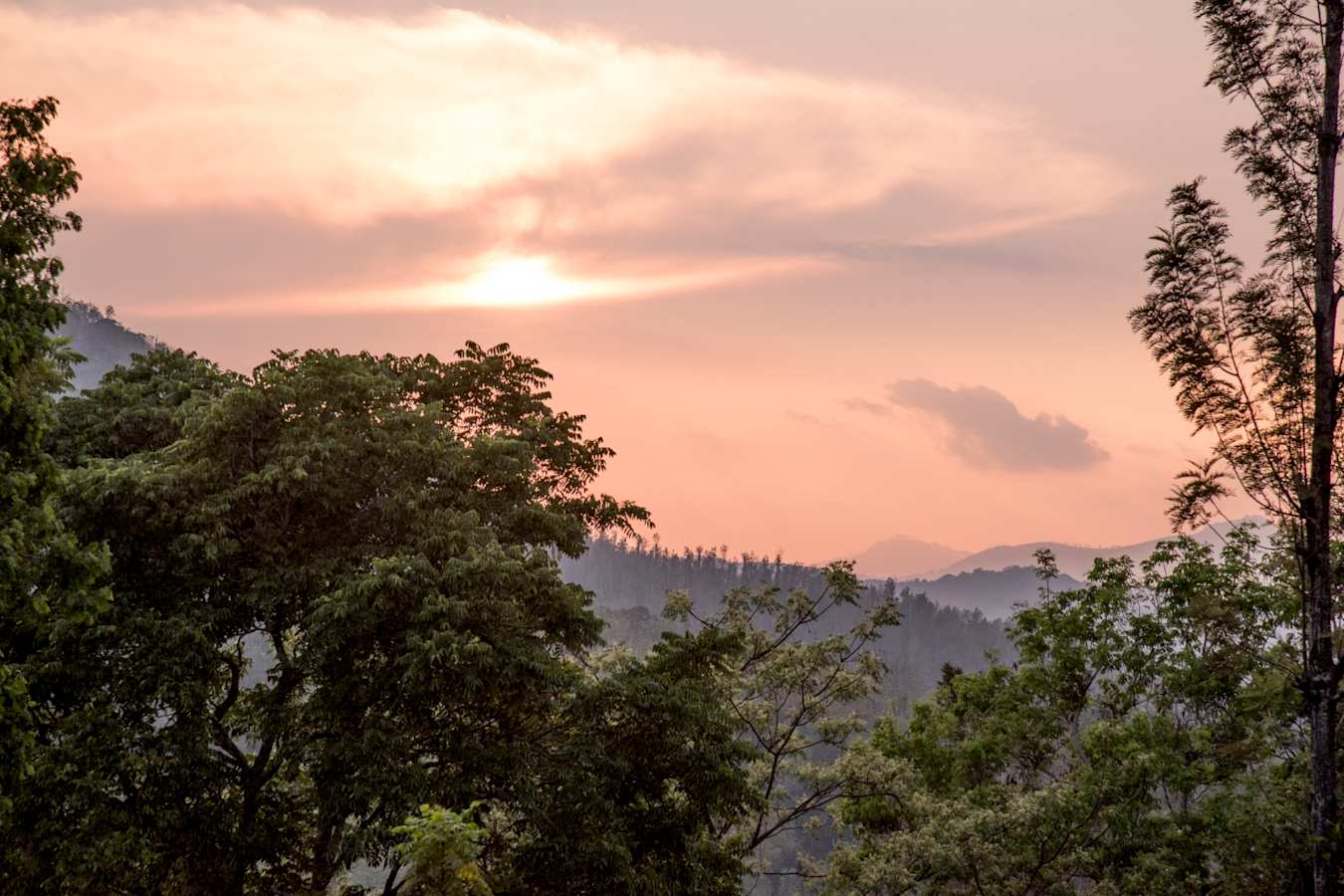 Sunset - Rajakkad Estate