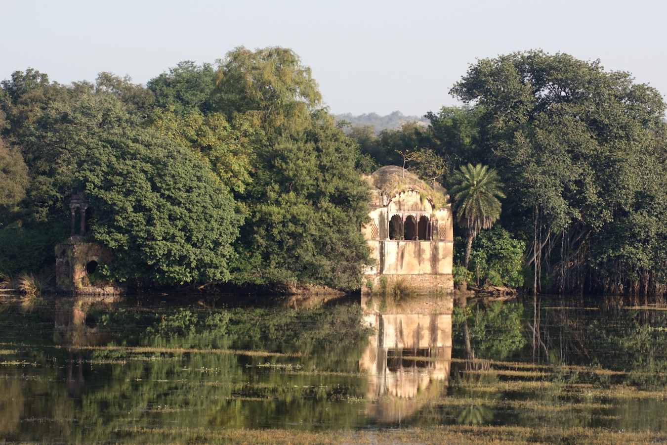 Ranthambore National Park - The Oberoi Vanyavilas