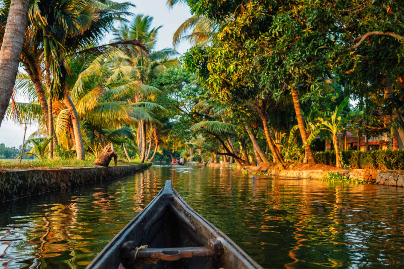 Backwaters - India 
