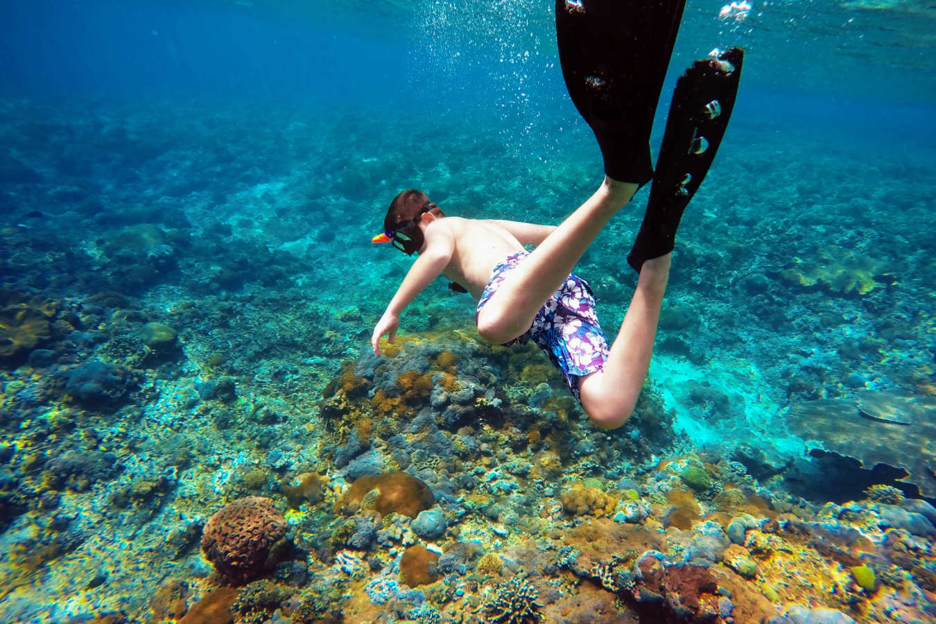 Snorkelling 