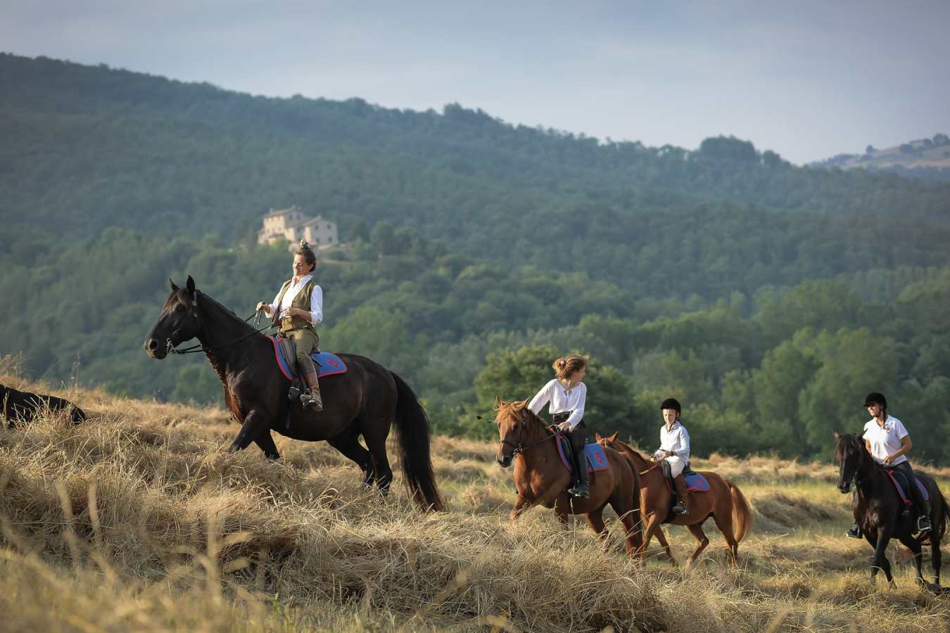 Horse Riding  