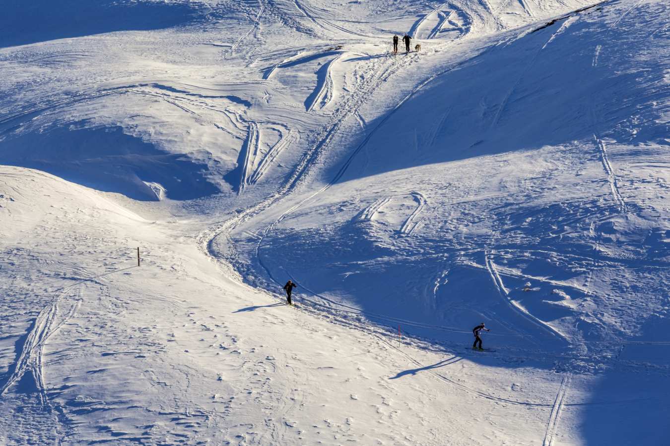Skiiers 