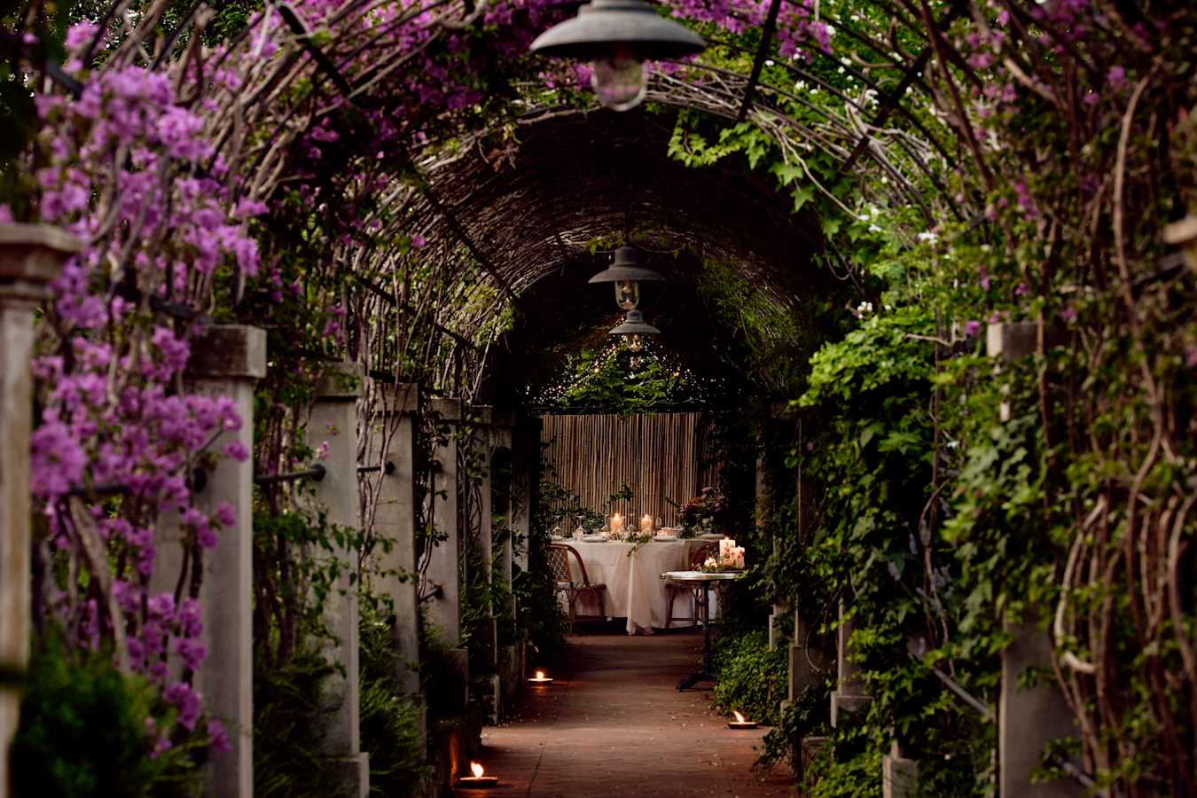 Garden Dinner 