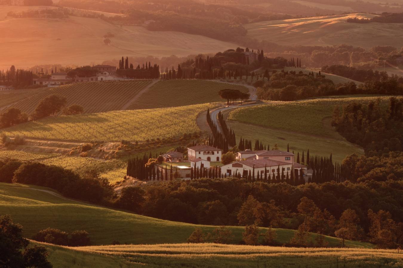 Winery 