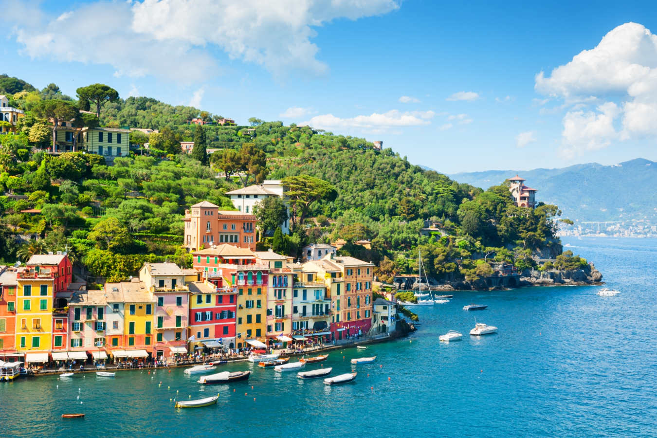 Italian Rivera  