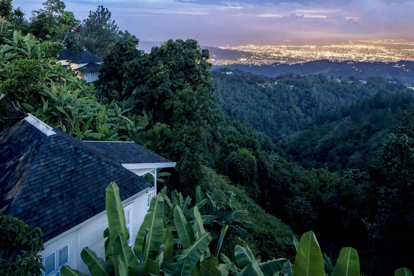 Evening View - Strawberry Hill