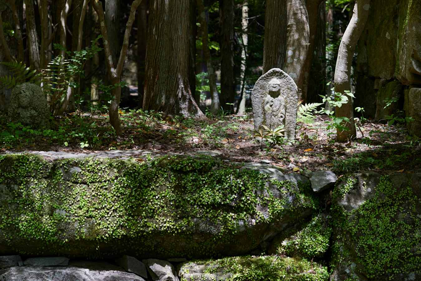 Gardens of Aman Kyoto 