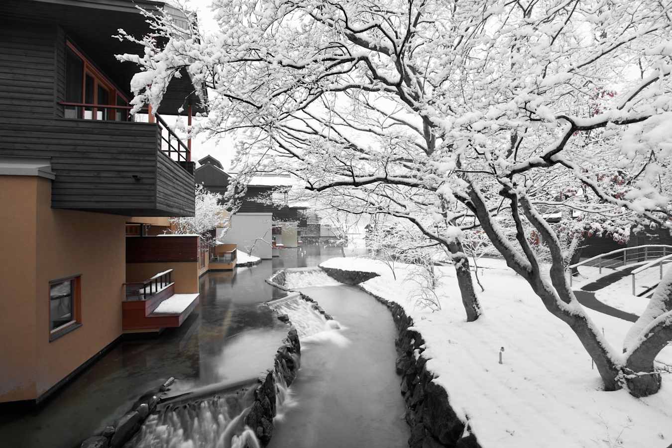Winter