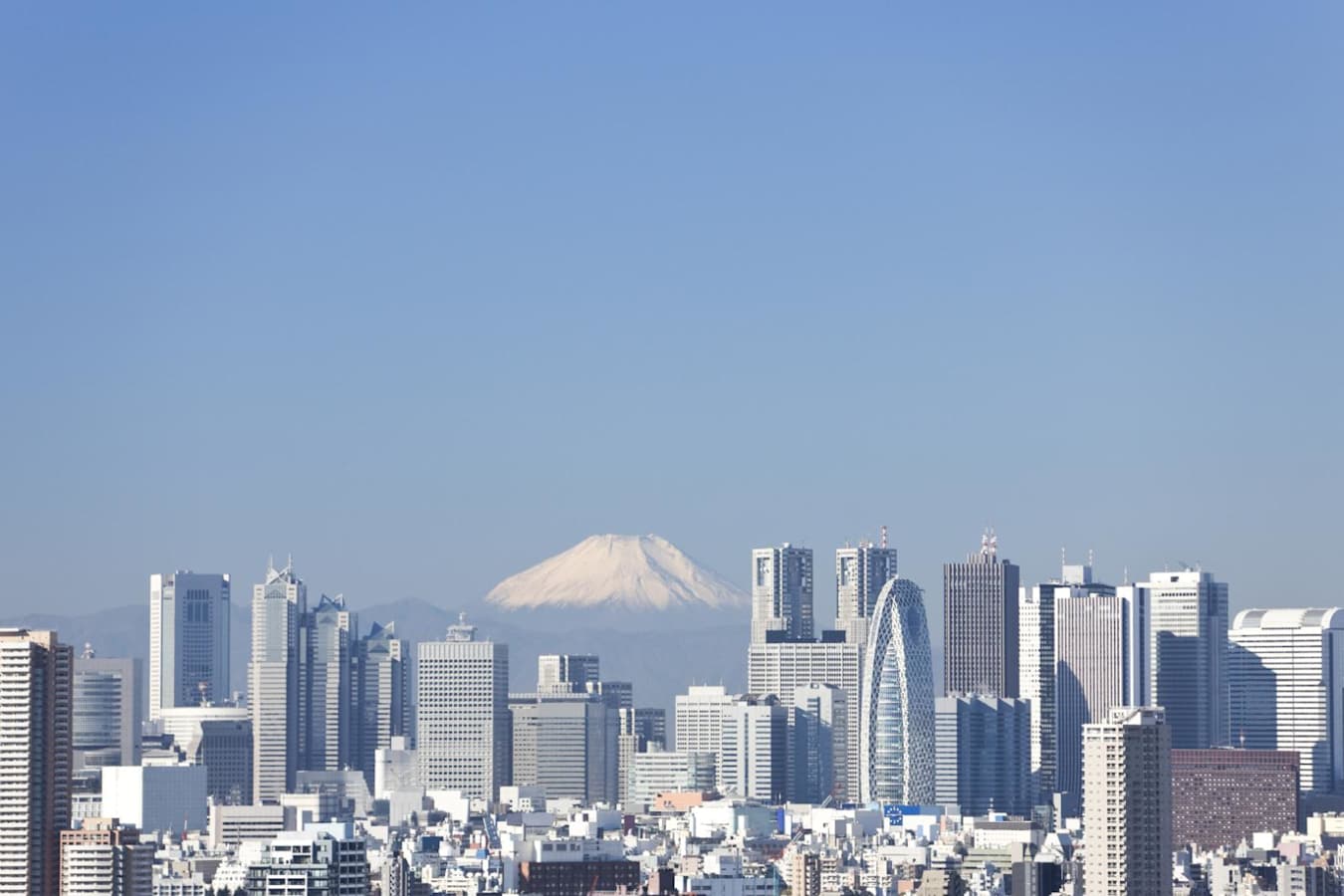 Discover Tokyo