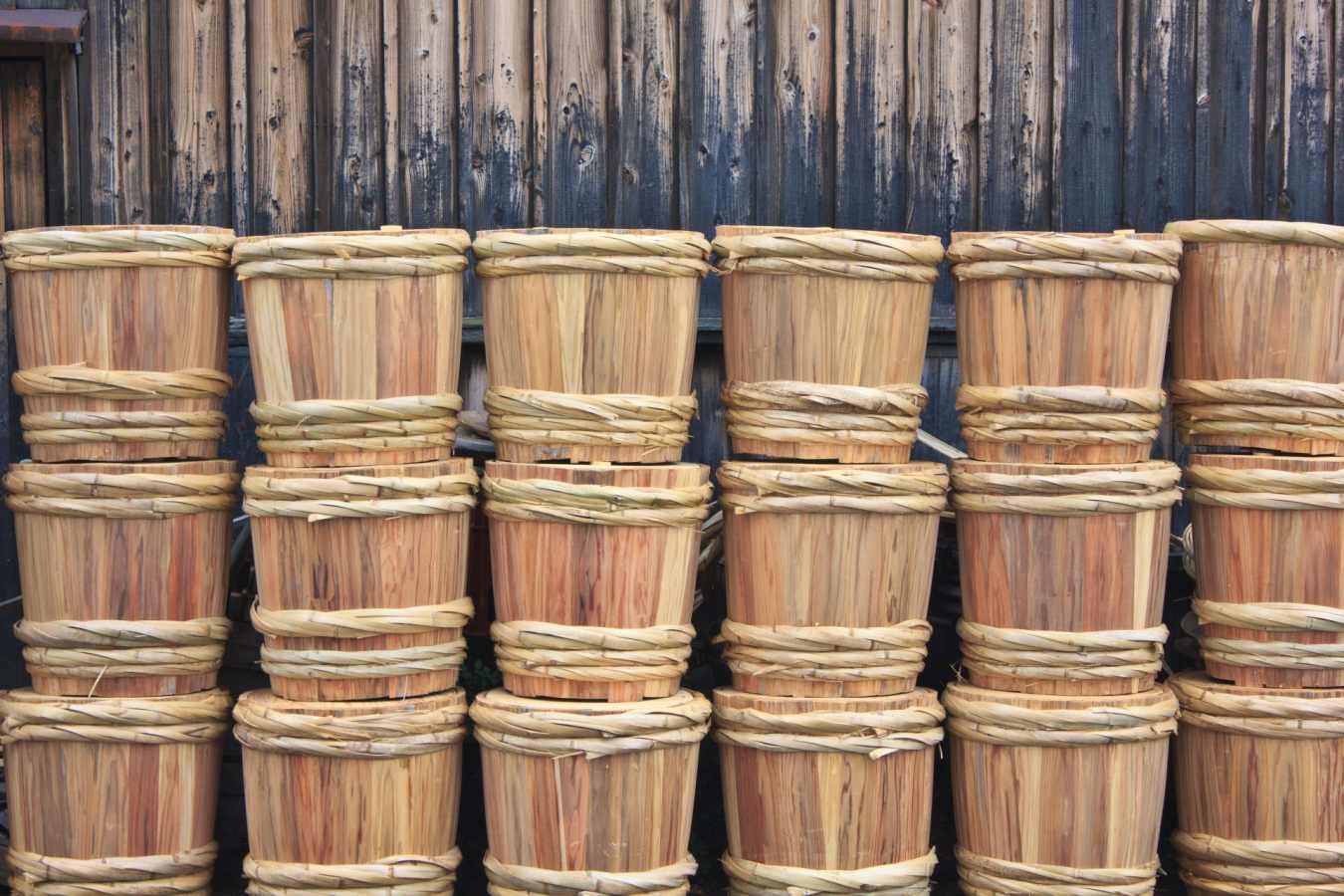 Sake Brewery