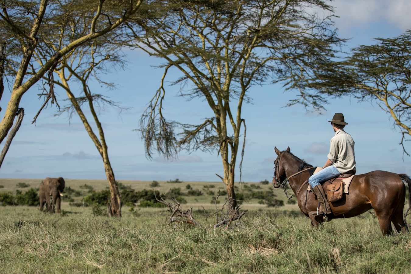 Horse riding 