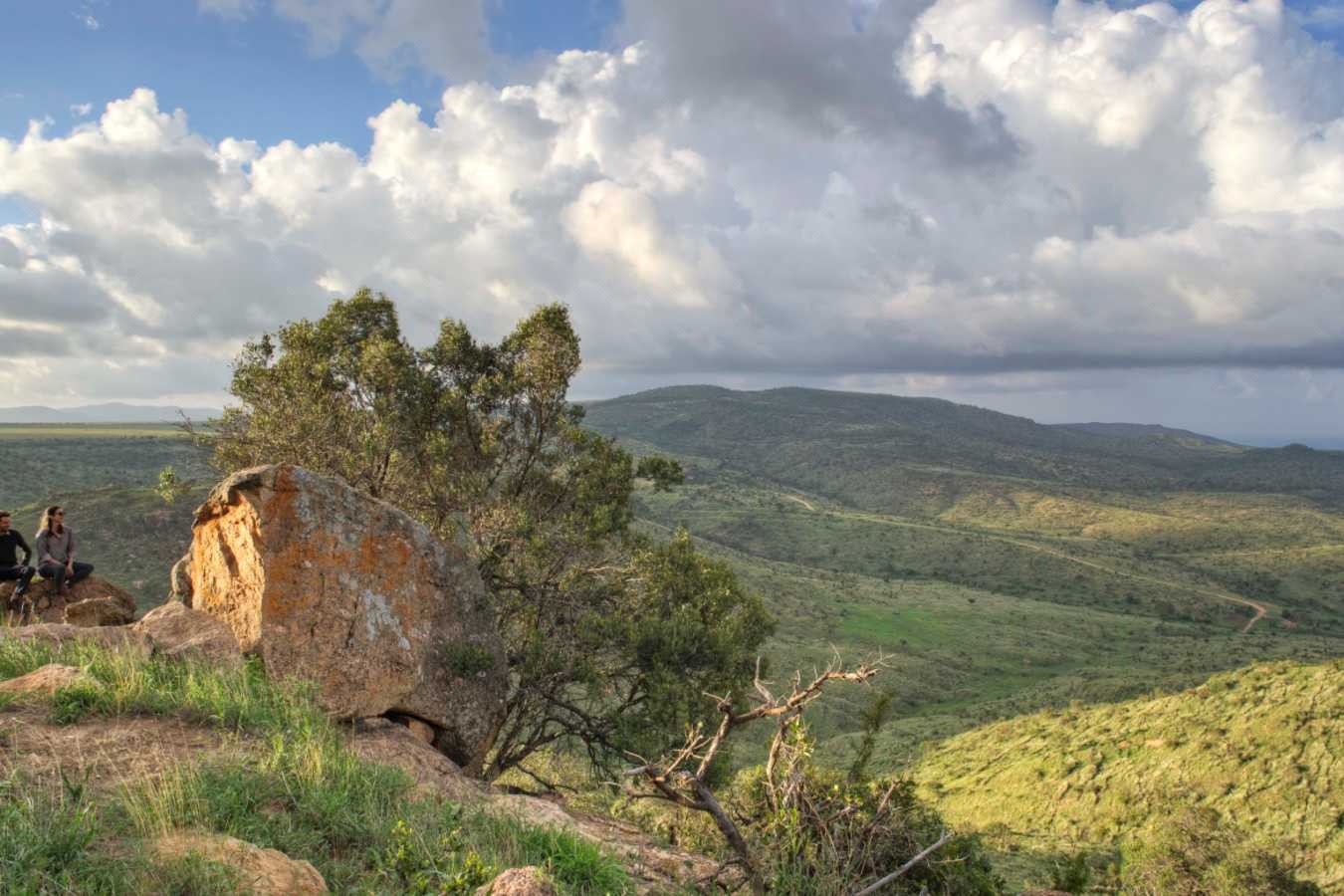 Views at Borana 