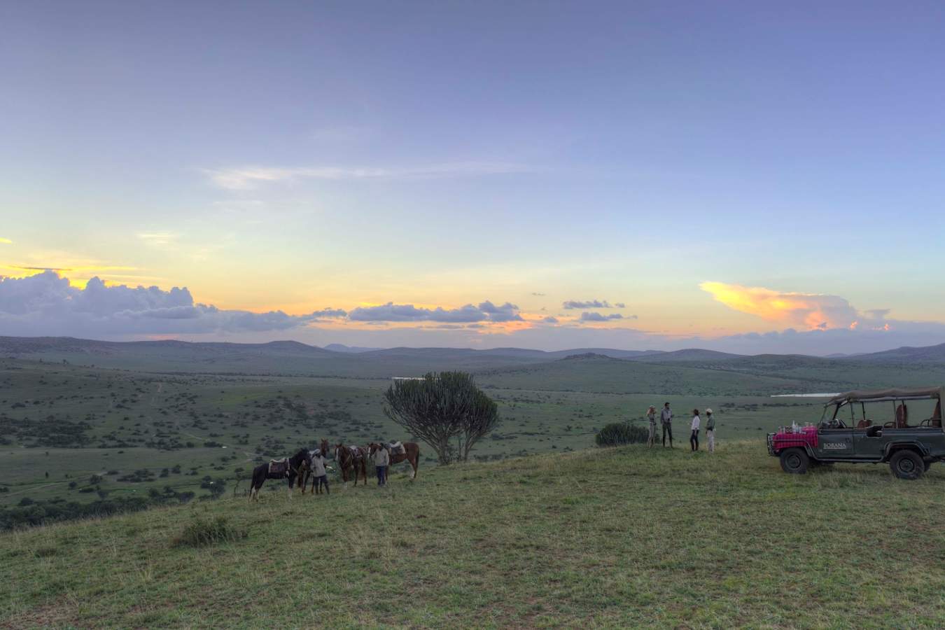 Game drive on Borana 