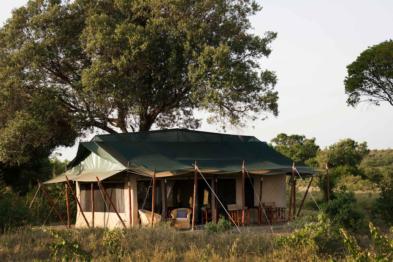 Tent Exterior 