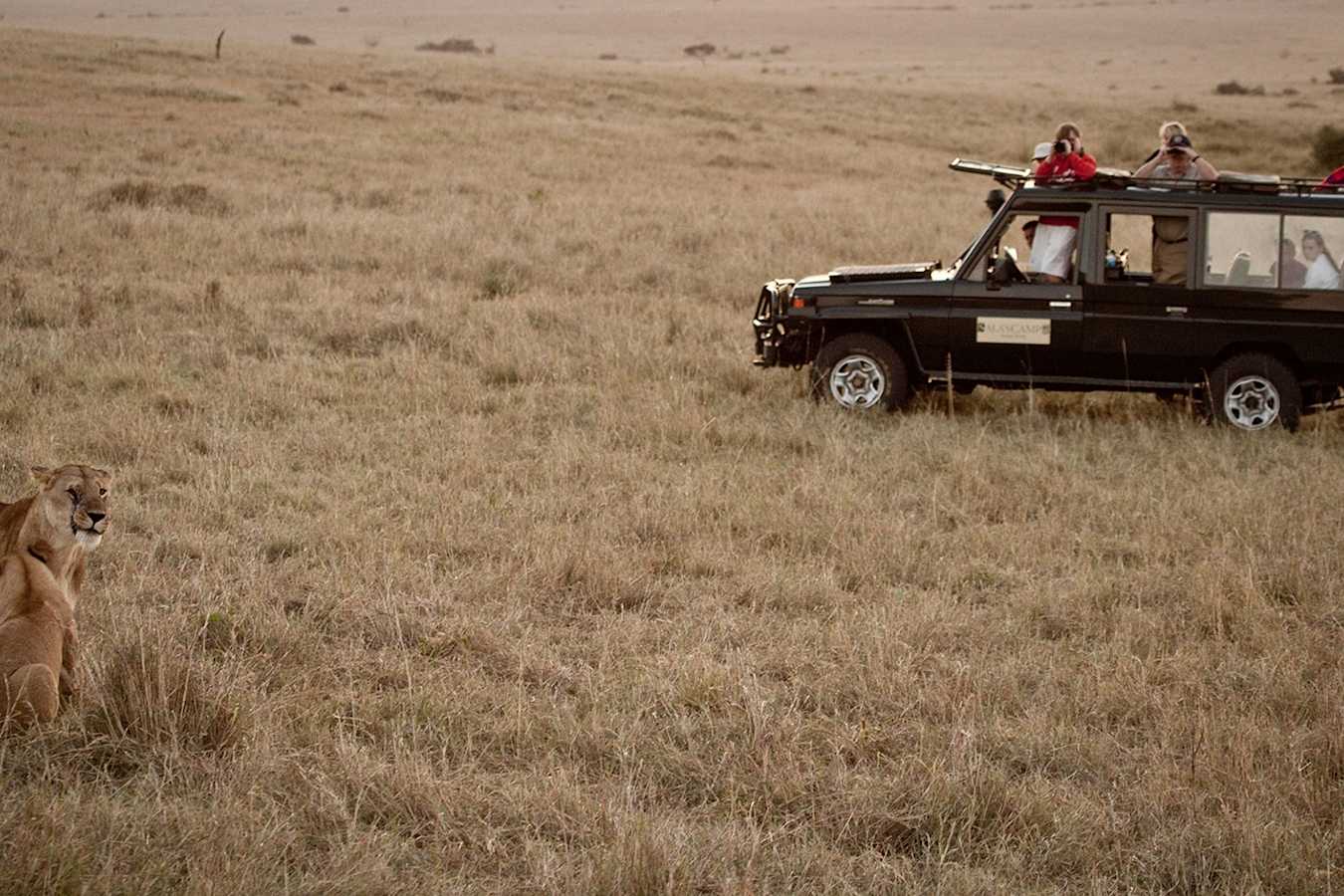 Game drive - Sala's Camp