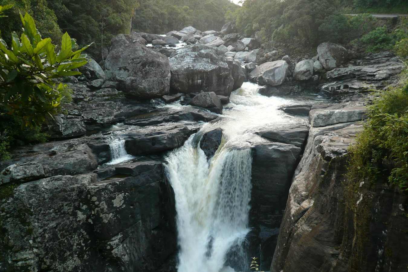 Parc National de Ranomafana - Setam Lodge
