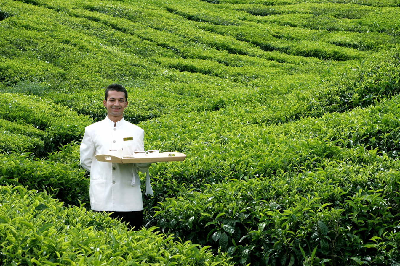 Destination Dining - Cameron Highlands Resort
