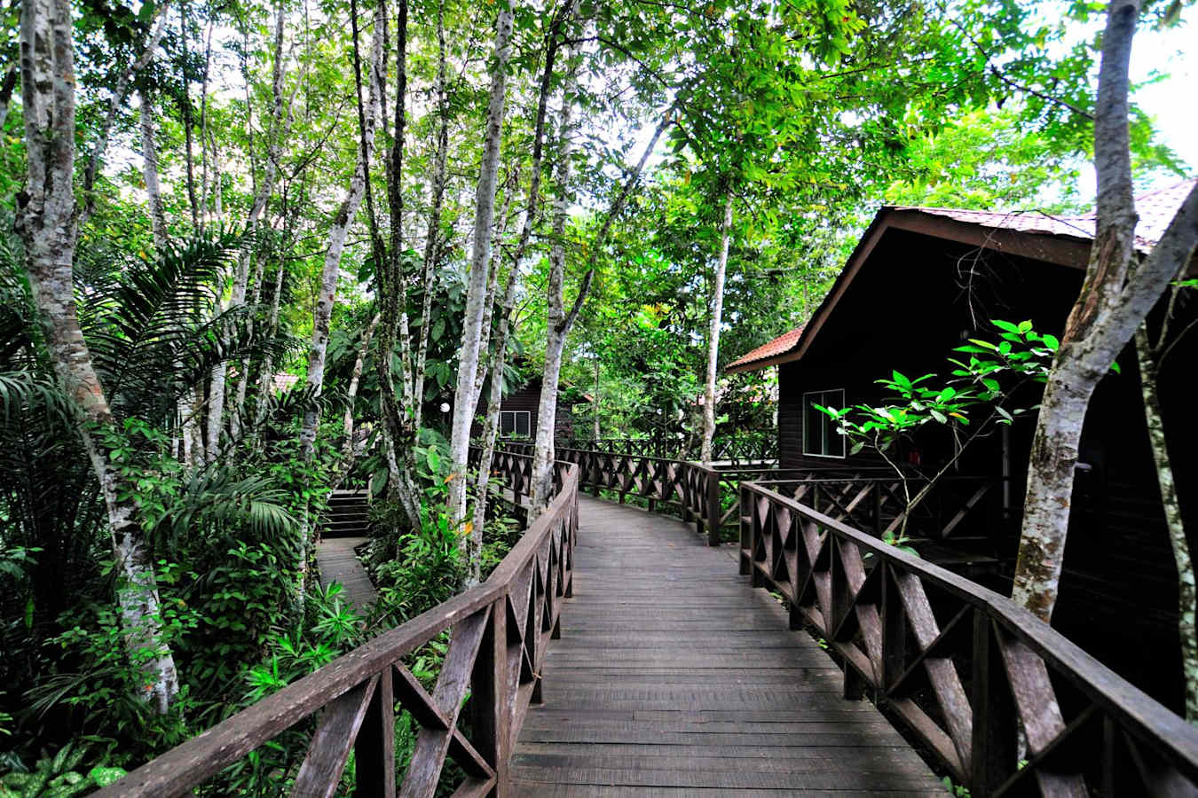Chalet path - Kinabatangan Riverside Lodge