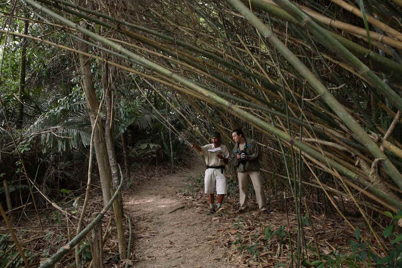 Nature Walk - Tanjong Jara