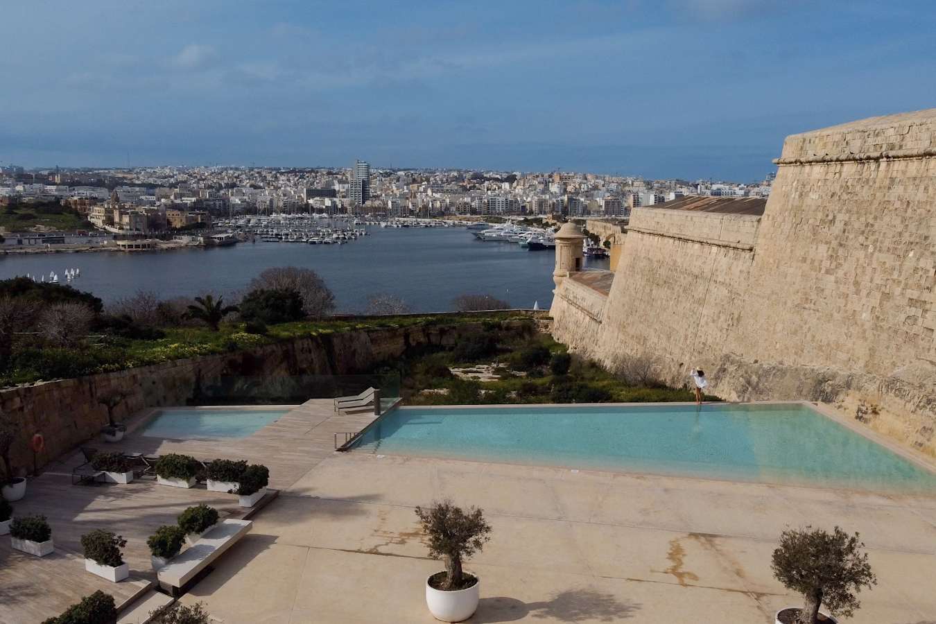 Phoenicia 