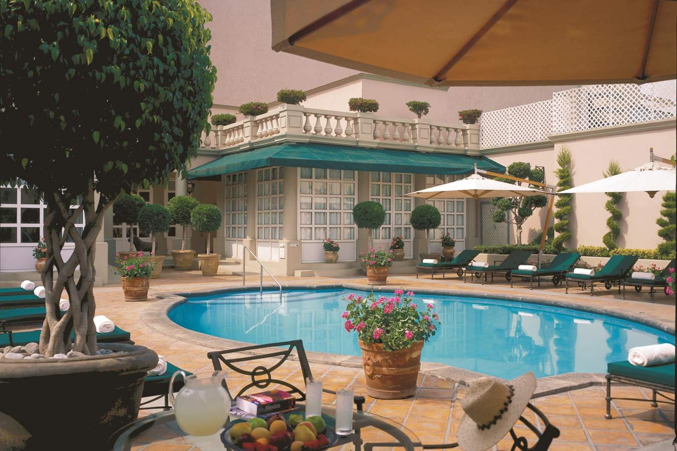 Pool - Four Seasons Mexico City