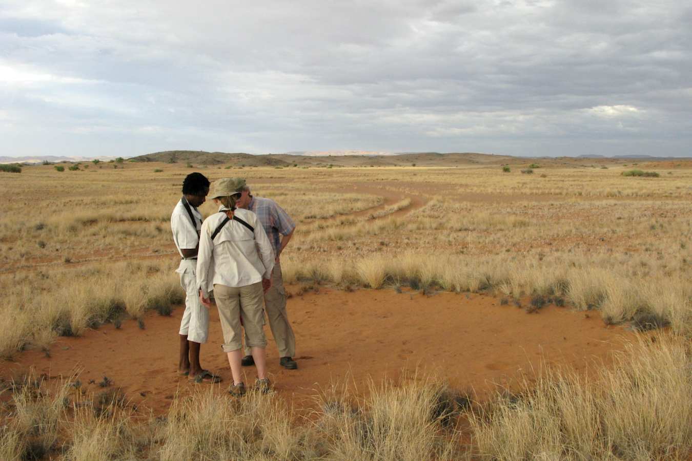 Fairy circles 