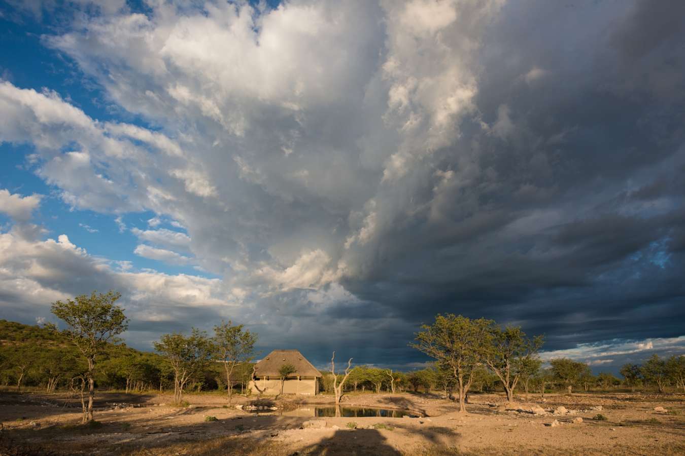 Lodge and watering hole - Safarihoek Lodge