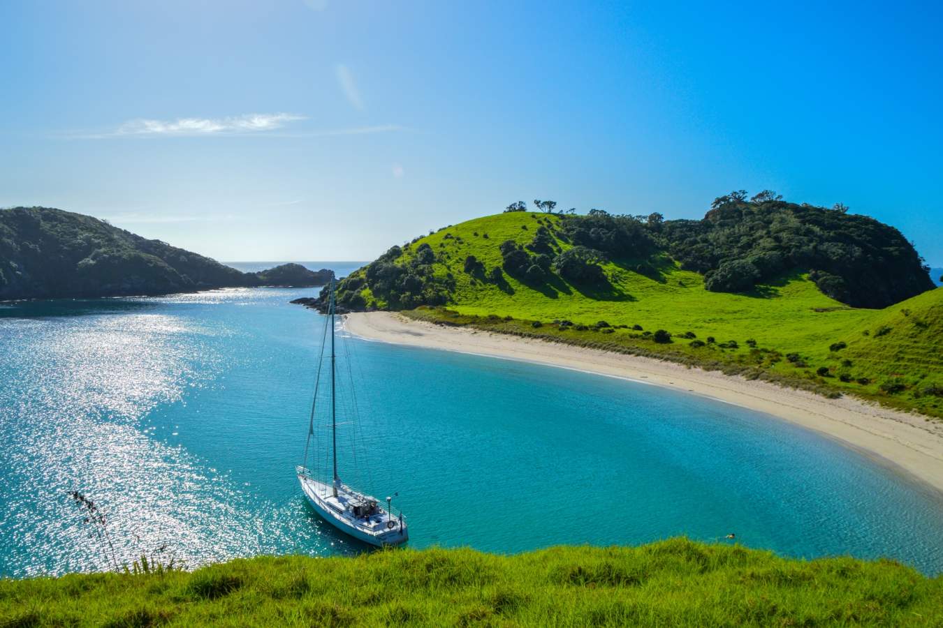 The Bay of Islands 